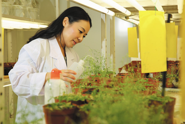 廖紅：發(fā)掘根對土壤的情誼